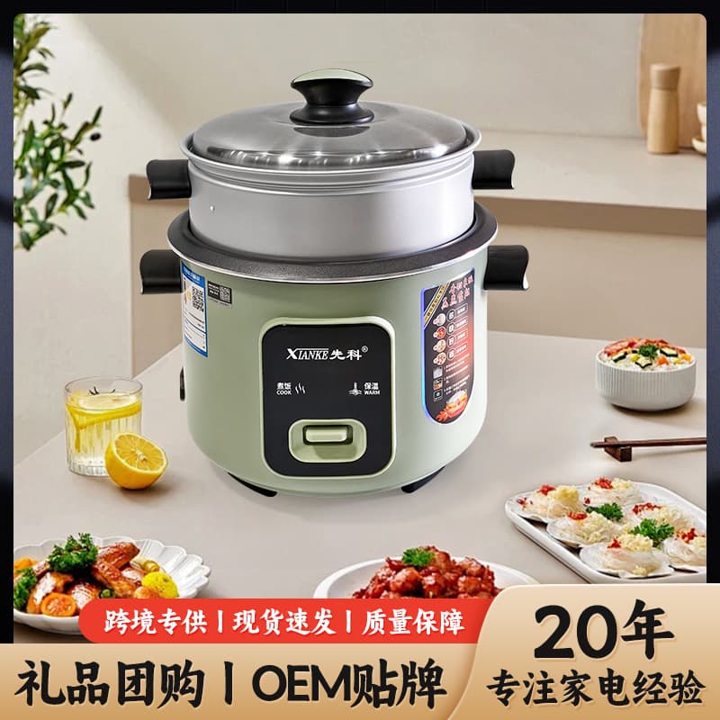 Cross-border Electric Rice Cooker, Non-stick Pot, Steaming and Cooking Combined, Suitable for 2-3 People, Factory Wholesale