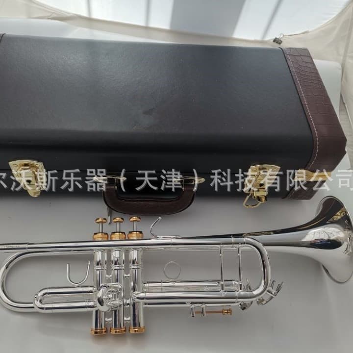 High-Grade Silver-Plated Trumpet Instrument, B-Flat Trumpet, Leather Case, Professional Trumpet