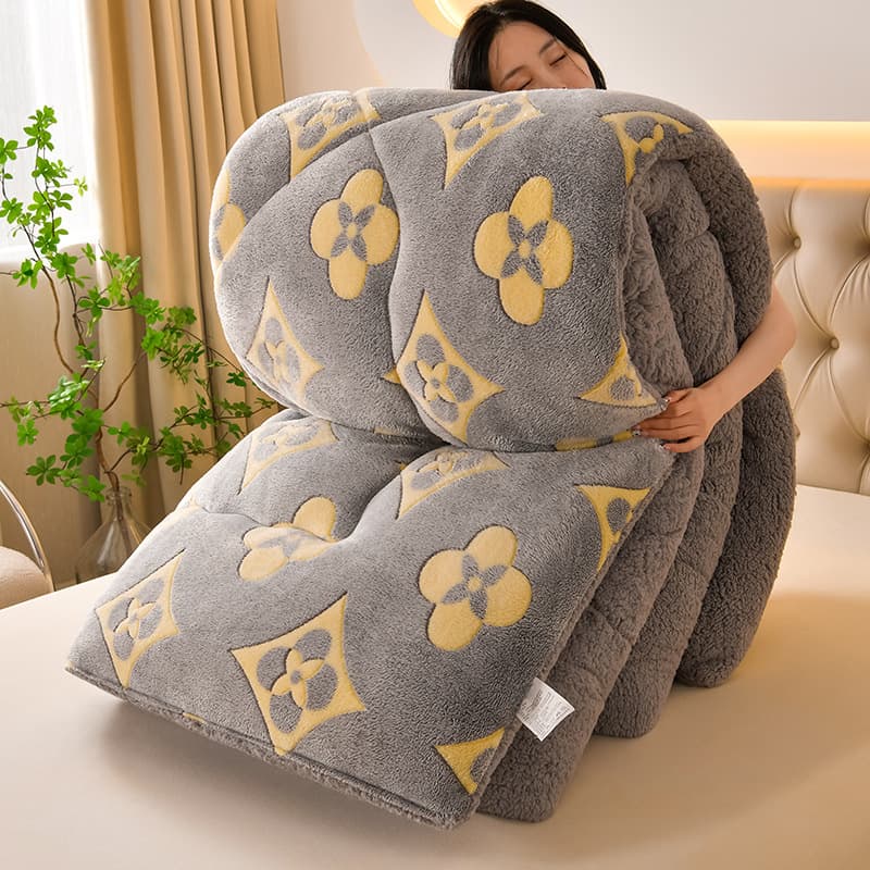 Winter Thickened Warm Snowflake Fleece Blanket Double-Sided Fleece Lamb Fleece Bare Sleep Winter Quilt Student Dormitory Single Double Comforter