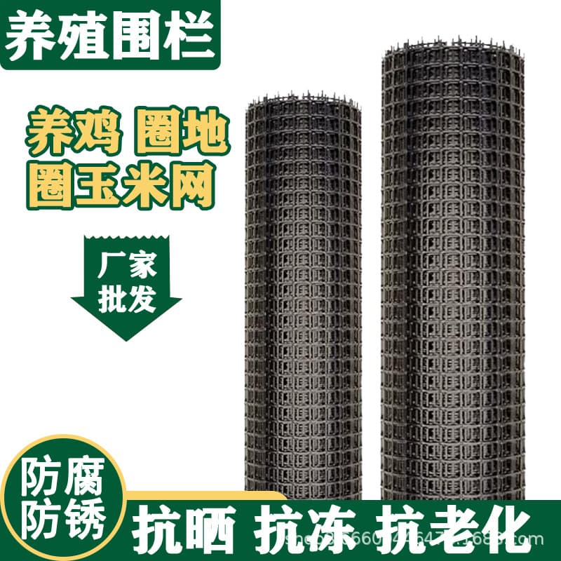 Plastic Isolation Farming Net Fish Pond River Channel Protection Black Corn Fencing Road Construction Bidirectional Geogrid