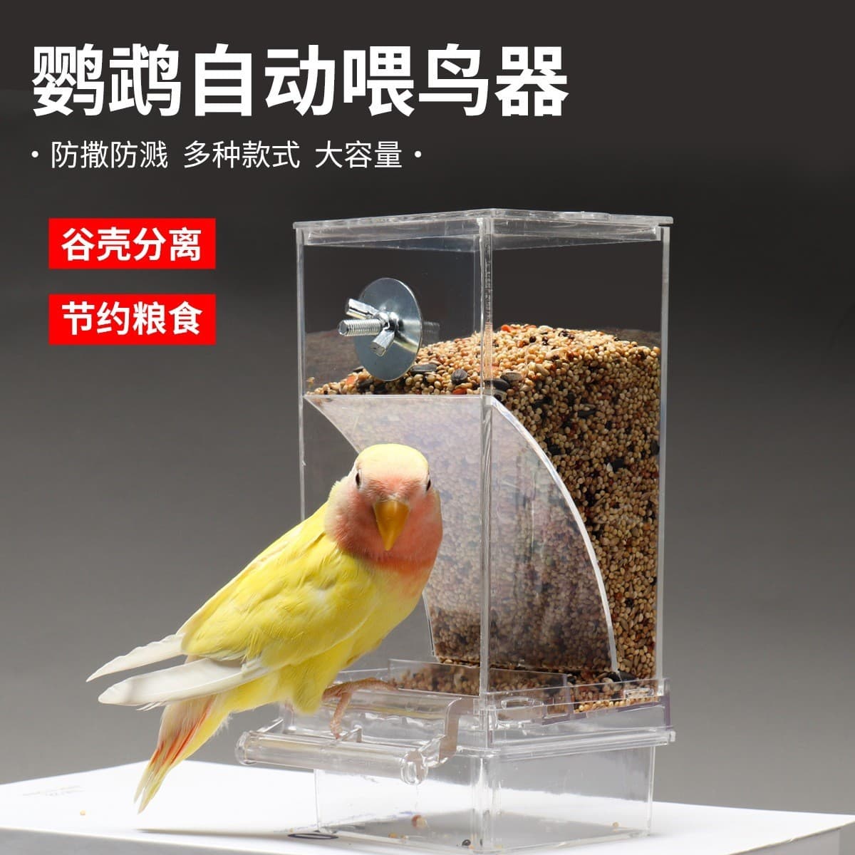Parrot Bird Feeder Anti-Splash Automatic Dispenser, Hanging Bird Feeder for Budgie, Lovebird, Cockatiel