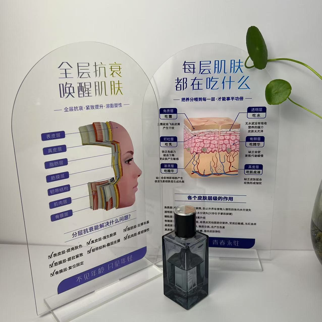 Medical Beauty Salon Display Stands for Office Decor and Advertising Purposes