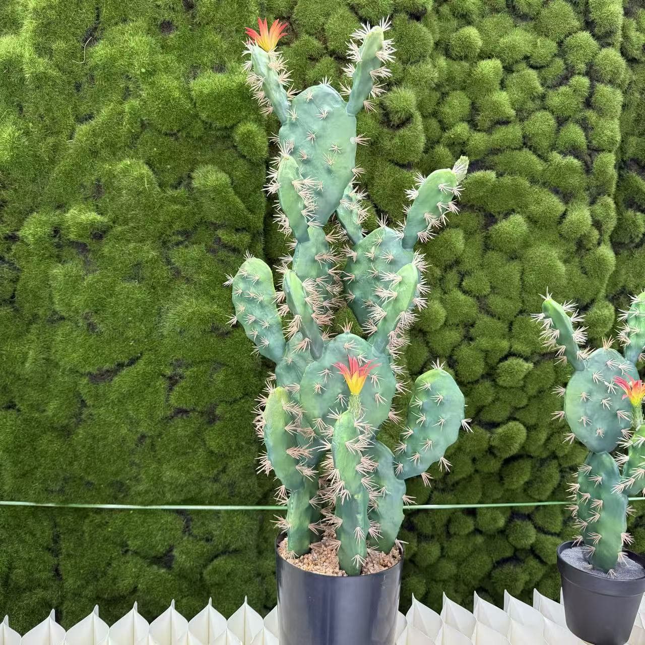 Nordic Artificial Cactus Fake Cactus Column Ball Hylocereus Tropical Green Plant Indoor Window Display Decoration Scene Landscaping