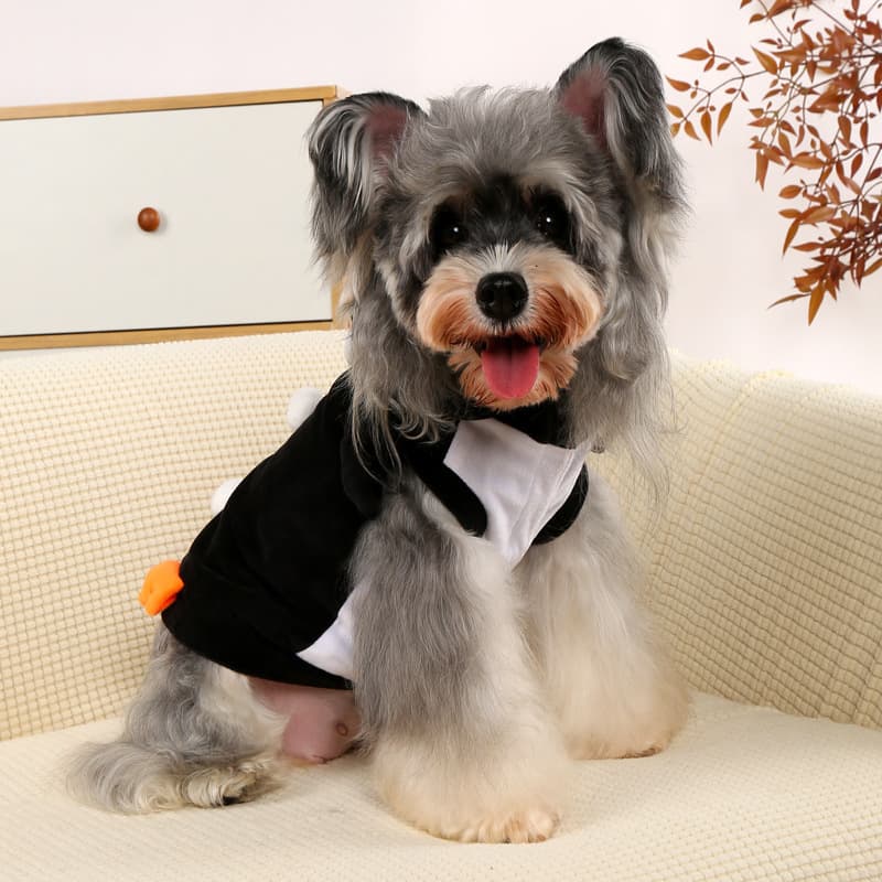 New Cross-Border Penguin-Shaped Universal Pet Costume Creative Halloween Cat Dog Transformation Outfit Pet Supplies
