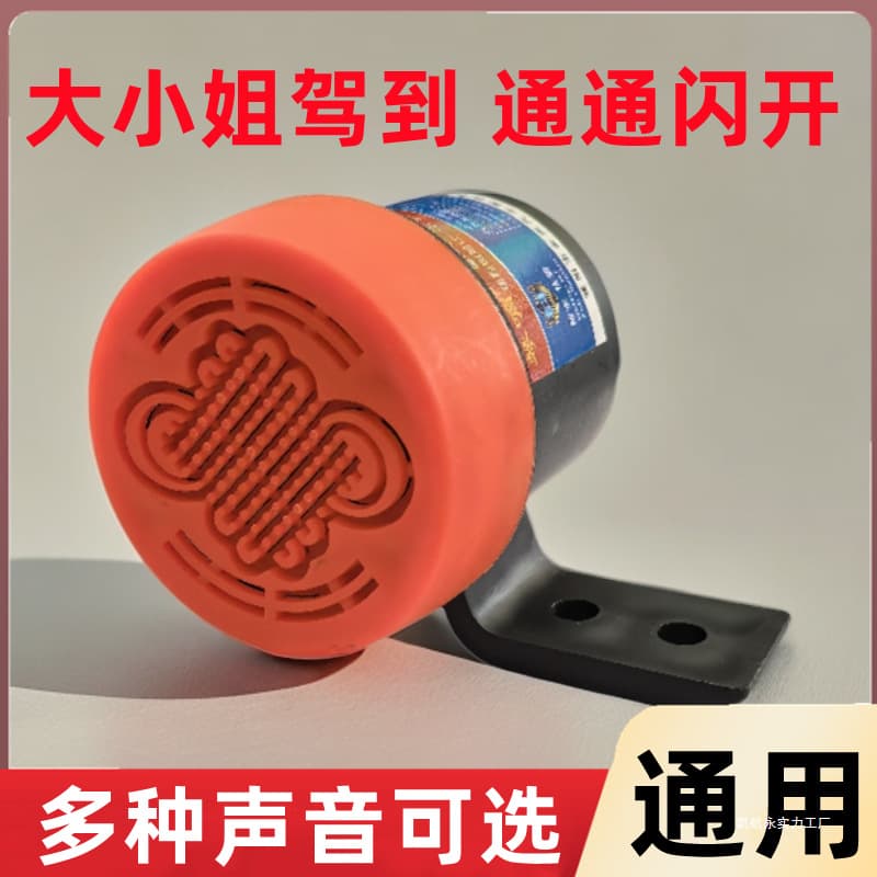 The Young Lady Has Arrived" Whistle Horn Universal Personalized Voice Alert for Cars, Electric Vehicles, and Motorcycles