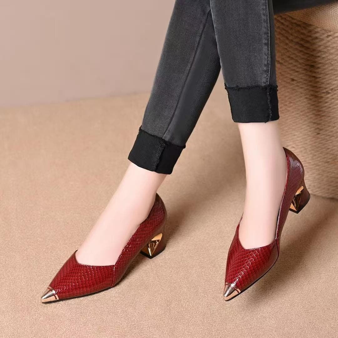 French high heels for women 2025 spring and autumn new style pointed toe thick heel shallow mouth temperament lady style metal toe single shoes