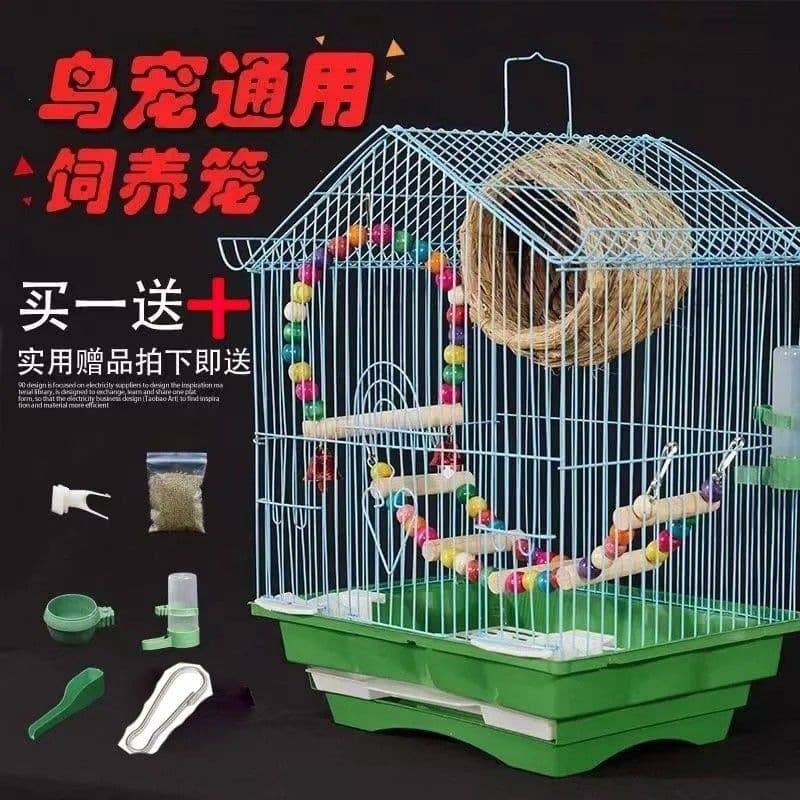 Bird Cage for Parakeets, Budgies, Lovebirds, Finches - Ornamental Villa for Beginners, Complete Set