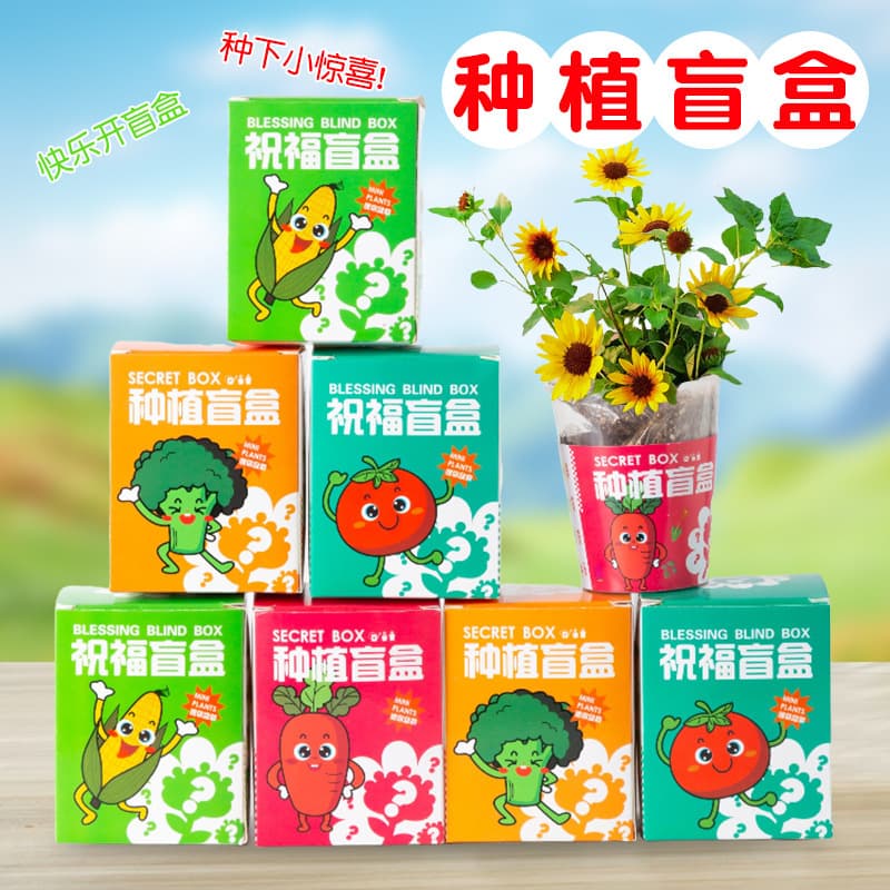 Plant Growing Blind Box Children's Plant Potted Mini Plant Observation Kit for Kindergarten and Elementary School Students Seeds Wholesale