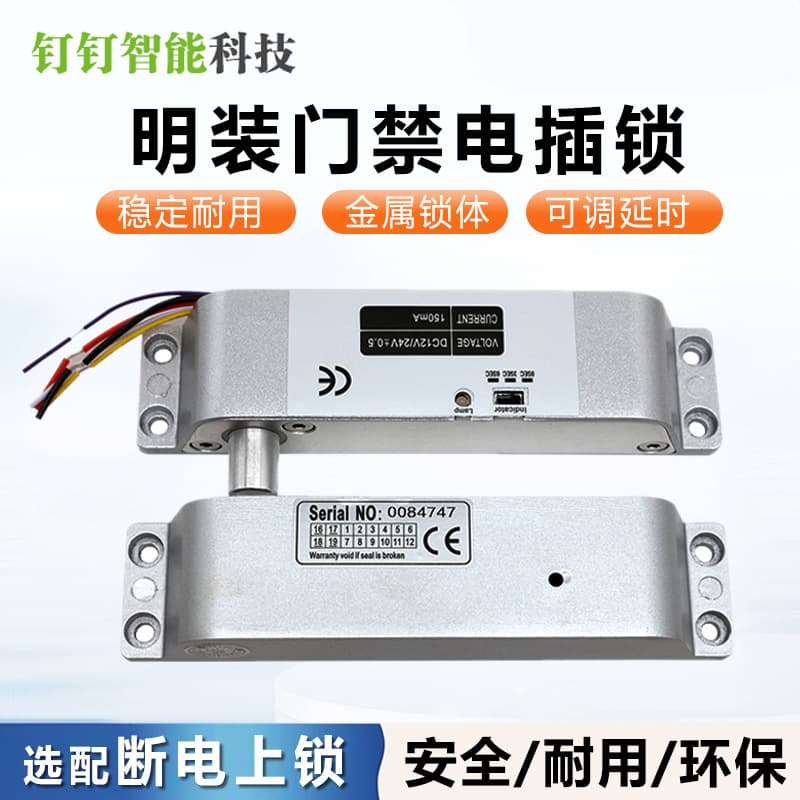 Surface Mount Electric Strike Lock Access Control Electric Lock with Delay for 12V/24V Electronic Locks