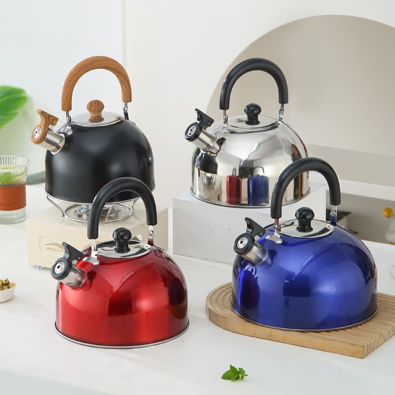 Stainless Steel Flat Bottom Semi-Spherical Teapot for Gas and Induction Stoves, Versatile Water Boiler Ideal for Home Use