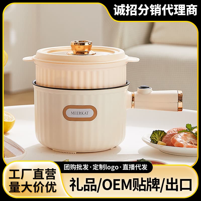 Mini electric cooking pot, electric frying pan, small multi-functional noodle cooker, rice cooker, electric hot pot, gift wholesale