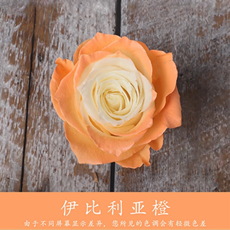 450ml Floral Spray Colorant Wholesale Quick-Dry Spray Paint Colorful Rose Dye Pearlescent Spray for Floral Arrangements and Flower Shops
