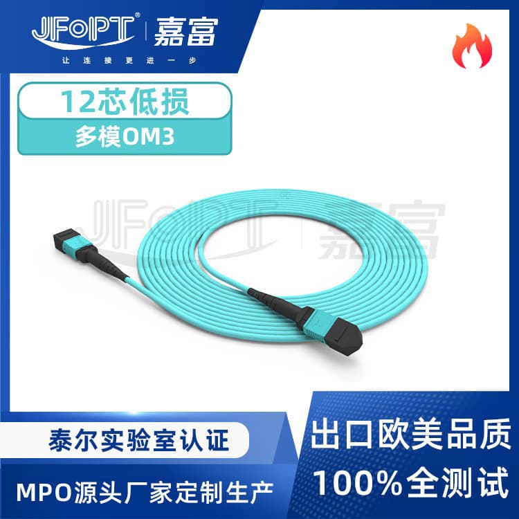 Factory Quick Customization for Supercomputing Center Optical Transmission Optimization Multimode OM3 Low Loss 12-Core with PIN Pins