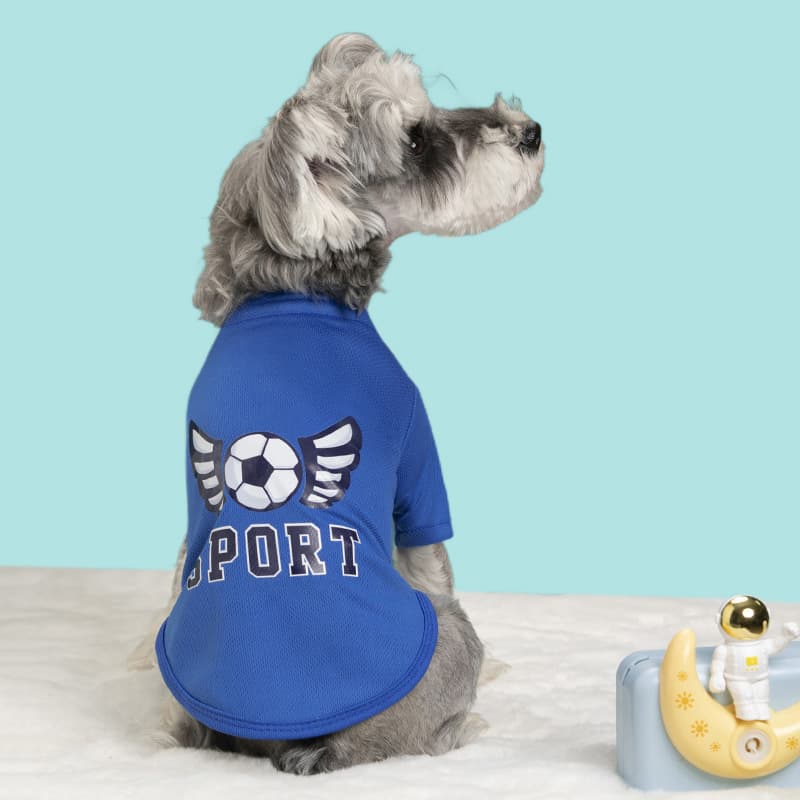 Spring/Summer New Pet Wing T-Shirt Two-Leg Clothing, Dog Clothes, Dog Sun Protection Shirt, Pet Baseball Jacket, Pet Apparel
