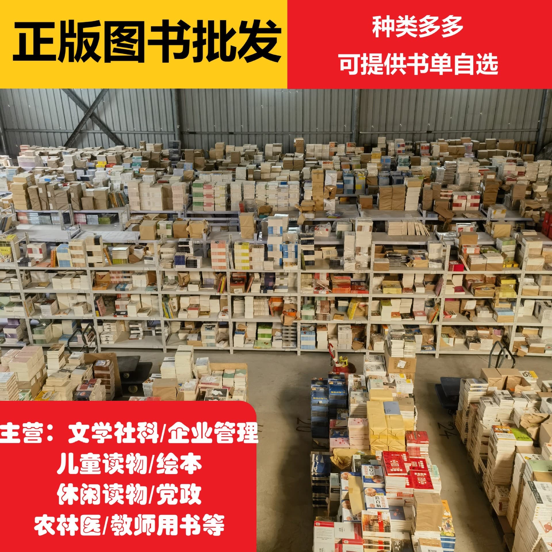 Authentic Book Wholesale: Youth Literature, Novels, History Biographies, etc. for Bookstores and Libraries