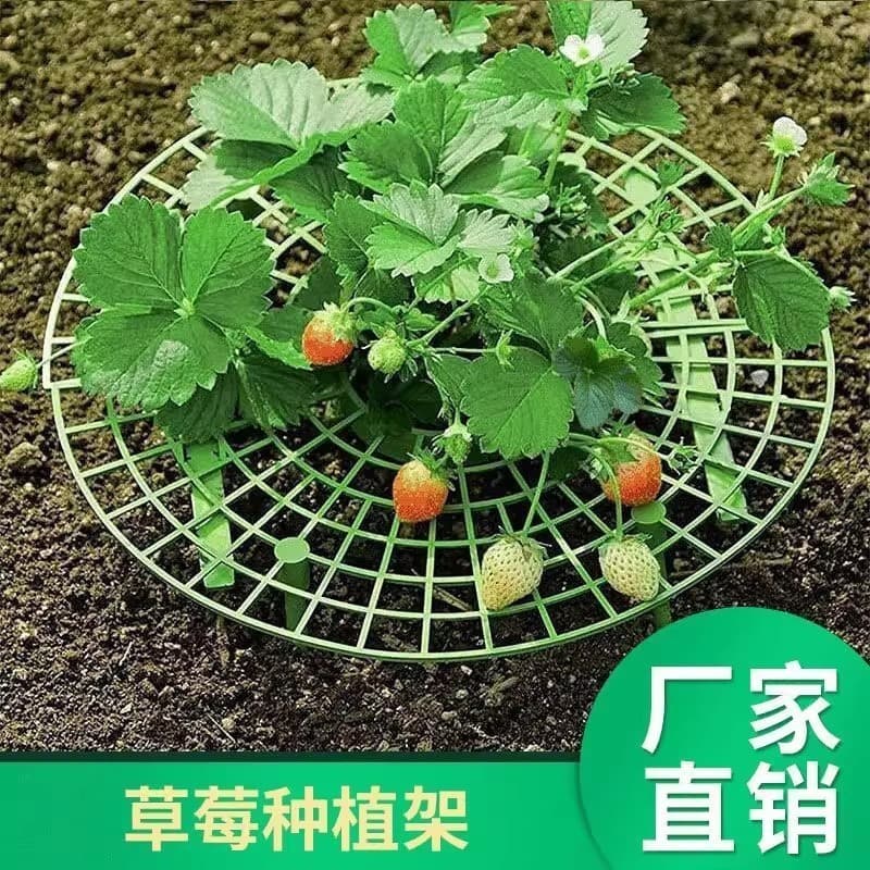 Home Growing Strawberry Tray Rack Anti-Lodging Plant Fruit Support Gardening Supplies Strawberry Support Rack