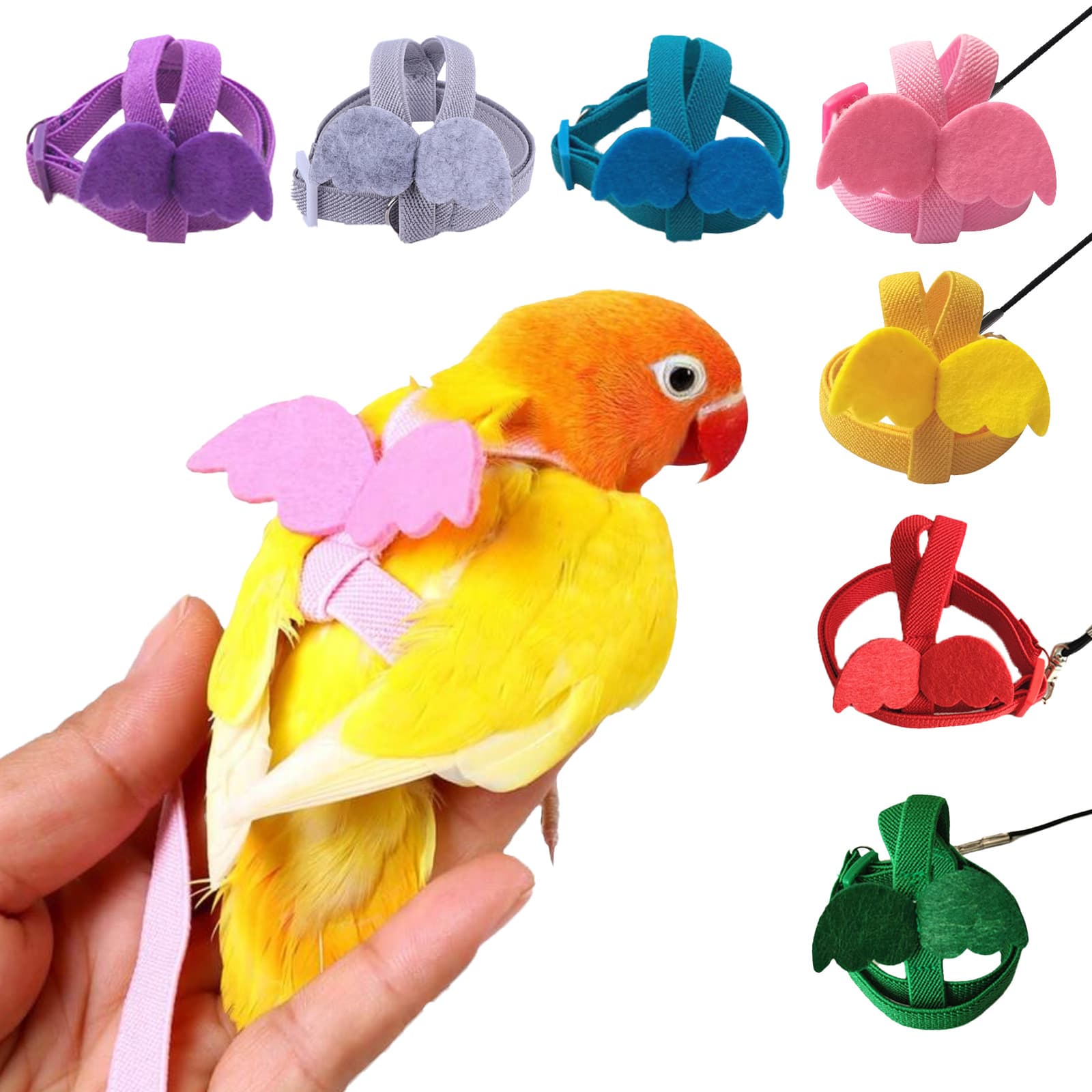 Parrot Flight Harness Leash Ultra-Light for Release, Lovebird Cockatiel Sun Conure Bird Walking Leash Extended Rope