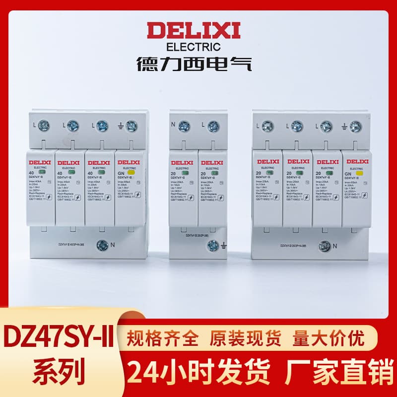 Delixi Electrical Lightning Arrester, Second-Level Power Lightning Surge Switch, Home Surge DZ47sY Surge Protector
