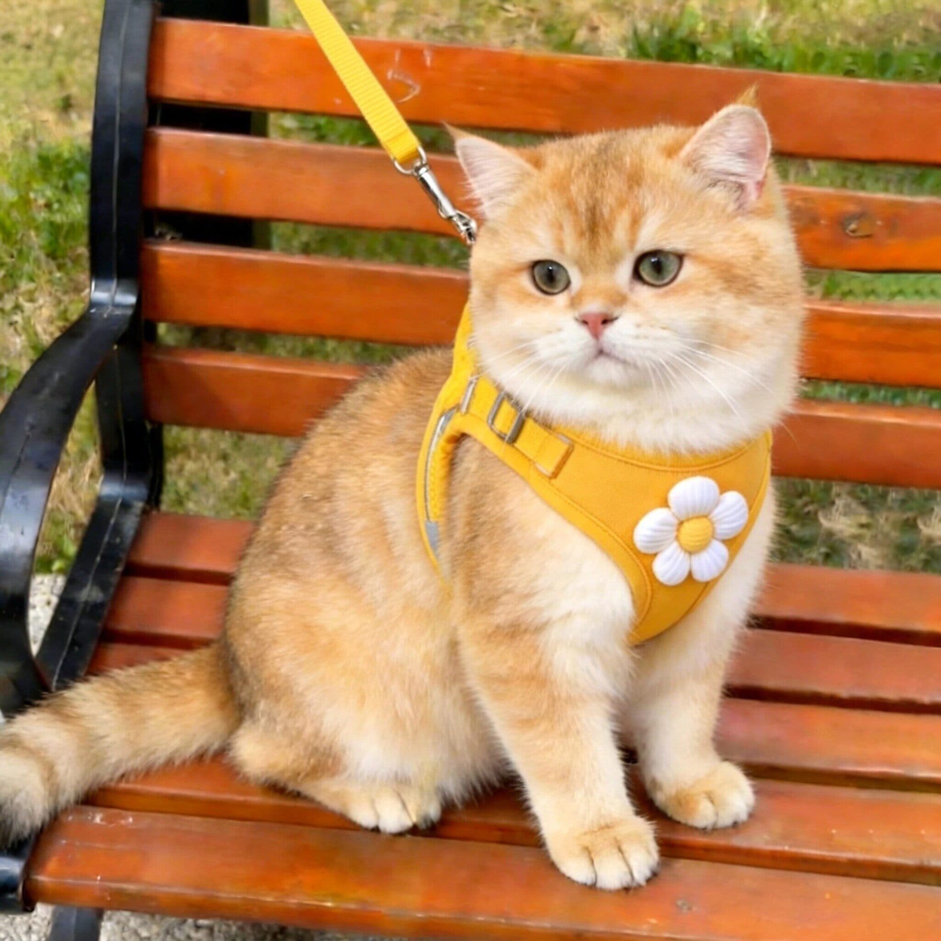 Custom pet harness factory, cross-border pet supplies, sample production, custom sewing pet supplies prototyping