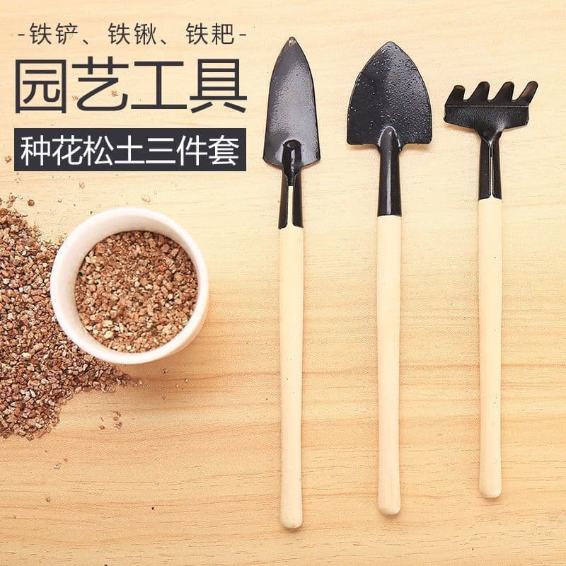 Three-piece Succulent Small Iron Shovel/Rake/Hoe, Gardening Tool, Mini Tool Set, Horticultural Garden Tools