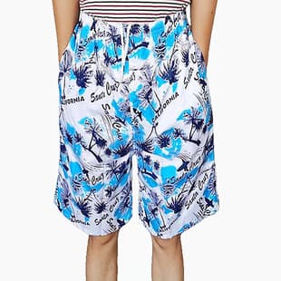 Summer Men's Beach Shorts 5-Point Casual Sports Quick-Dry Printed Shorts Trendy Ins Swim Trunks Surfing Shorts