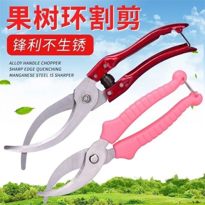 Large Girdling Pruner Ring Cutter Ring Knife Ring Cutter Tool for Grape, Jujube, Peach, Apple Trees Girdling Tool Girdling Pruner