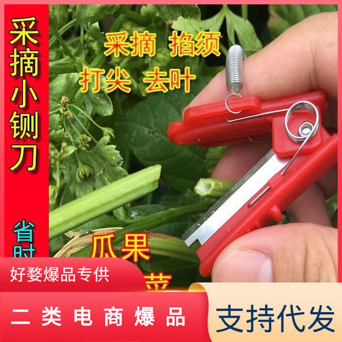 Small finger pruning ring knife, vegetable harvesting tool for picking beans, grapes, trimming tendrils, topping, and fruit harvesting.