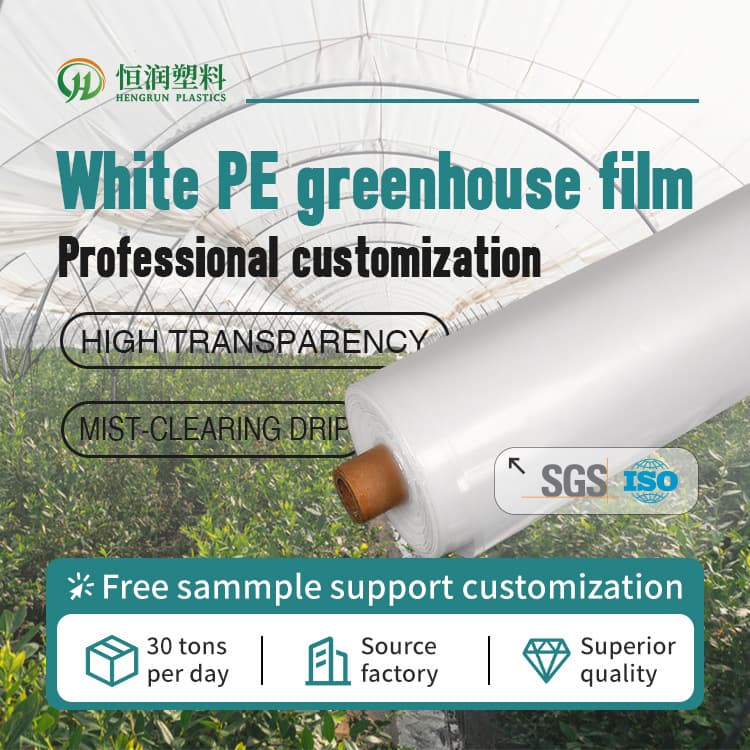 High Light Transmittance PE Greenhouse Film Plastic Film