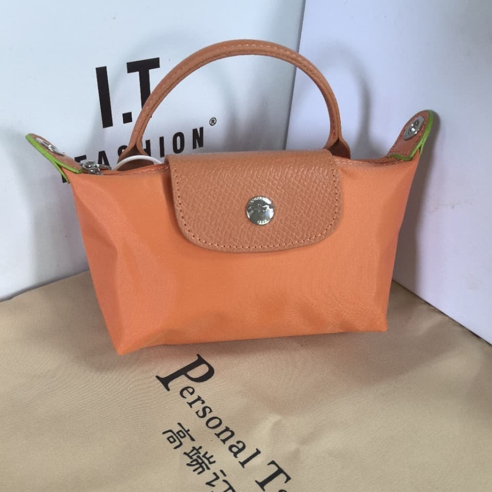 Mini Dumpling Bag French Brand Tote Bag Crossbody Lipstick Mobile Phone Bag Nylon Medium Hardness Polyester Lining Neutral Minimalist