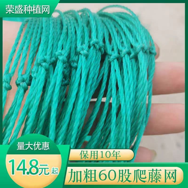 Courtyard Trellis Net, Specialized Net for Passion Fruit Planting, Agricultural Hanging Melon Net, Greenhouse Net, Garden Protective Net