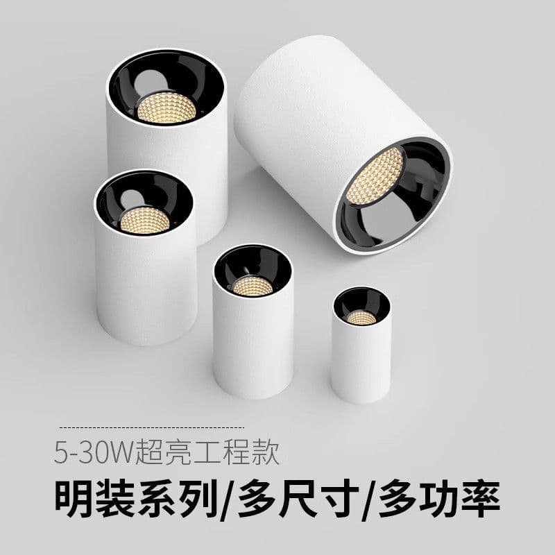 LED Surface-Mounted Spotlights with Full Spectrum and Deep Anti-Glare, Smart Round Ceiling Lights for Living Room, No Main Light