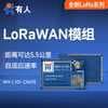 USR LoRa Module LoRaWAN Protocol ADR Adaptive Rate Low Power 433MHz RF Module L101