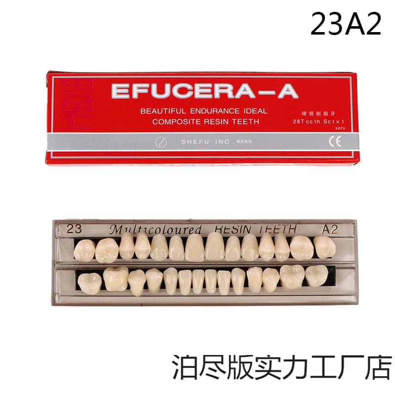Cross-border Decorative Tooth Model Plastic Tooth Model Student Practice Tooth Improved False Tooth Model