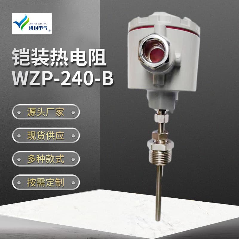 Armored RTD WZP-240-B Corrosion-Resistant Explosion-Proof PT100 Temperature Sensor Industrial Thermocouple Digital Display
