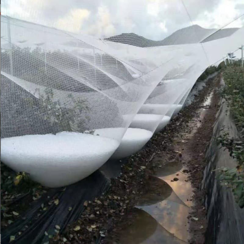 Yihaomei Brand Cross-border Supply Double-line Polyethylene Woven Net Black Hail Net Triangular Hail Net