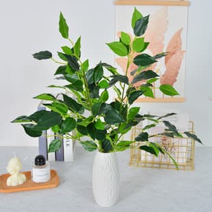 Landscape Ficus Branch Plastic Coated Ficus Artificial Tree Film Ficus Leaf White Edge Ficus Commercial Supermarket Landscape Garden Greenery Green