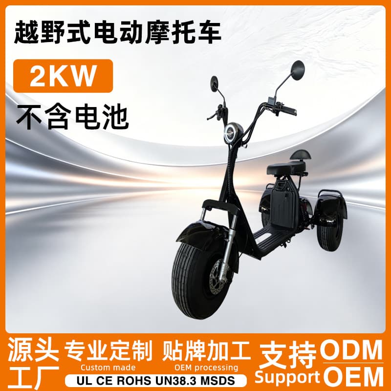 South America Market Sanjia Harley High-Endurance Electric Tricycle Adult Commuter Black Three-Wheel Motorcycle