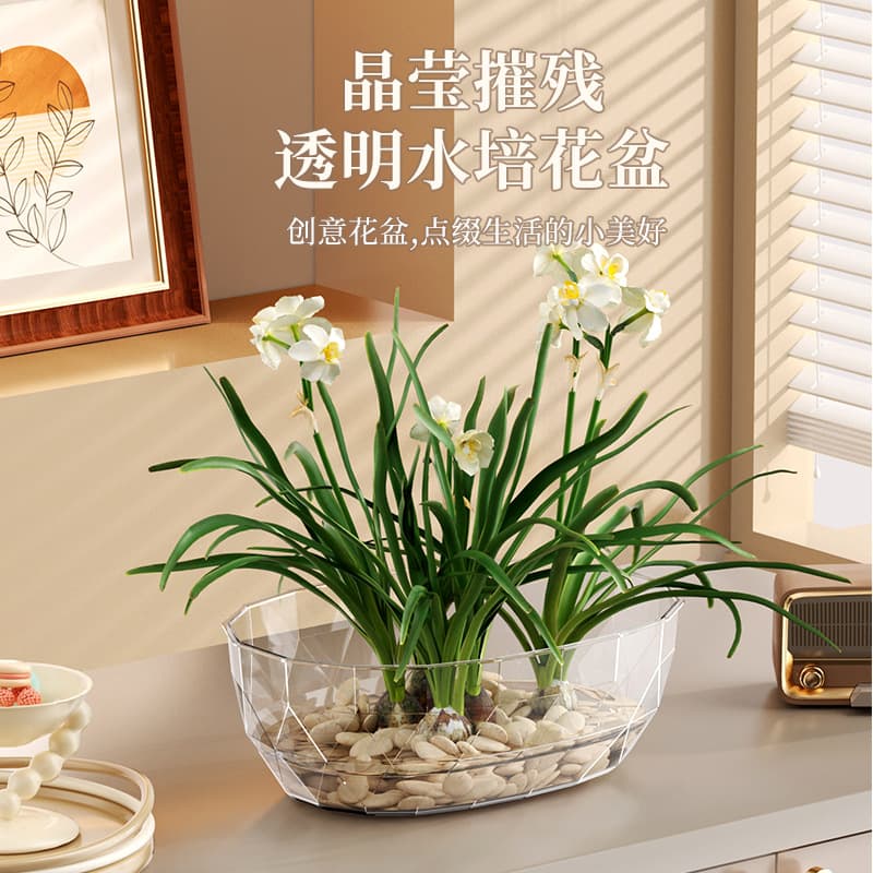 Hydroponic Plant Pot for Water Plants, Desktop Office Narcissus, Pennywort, Water Lily Vase, High-Transparency PET, Drop-Resistant