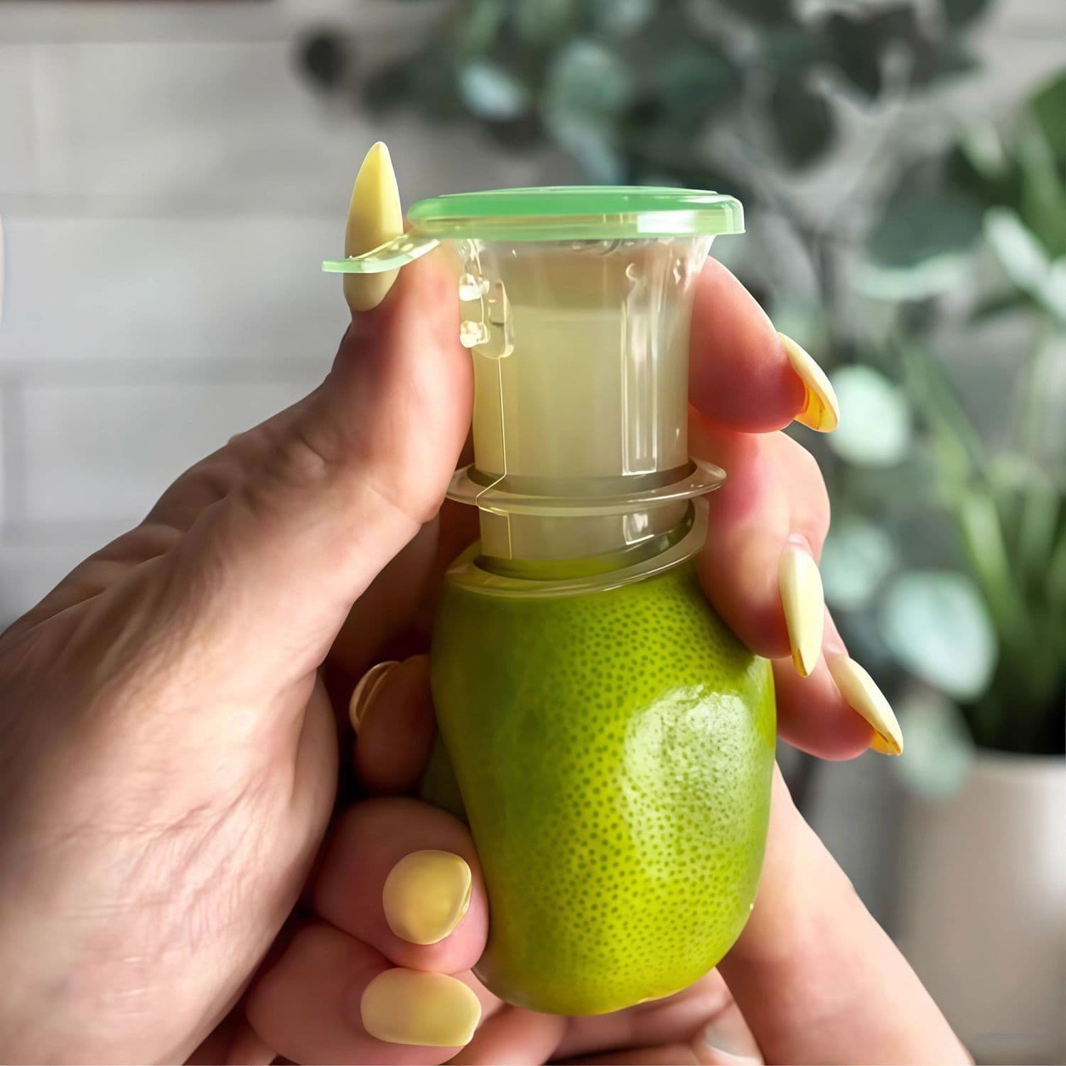 Lemon Juicer Press Home Kitchen Portable Lemon Juicer Manual Juicer Set Wholesale Delivery