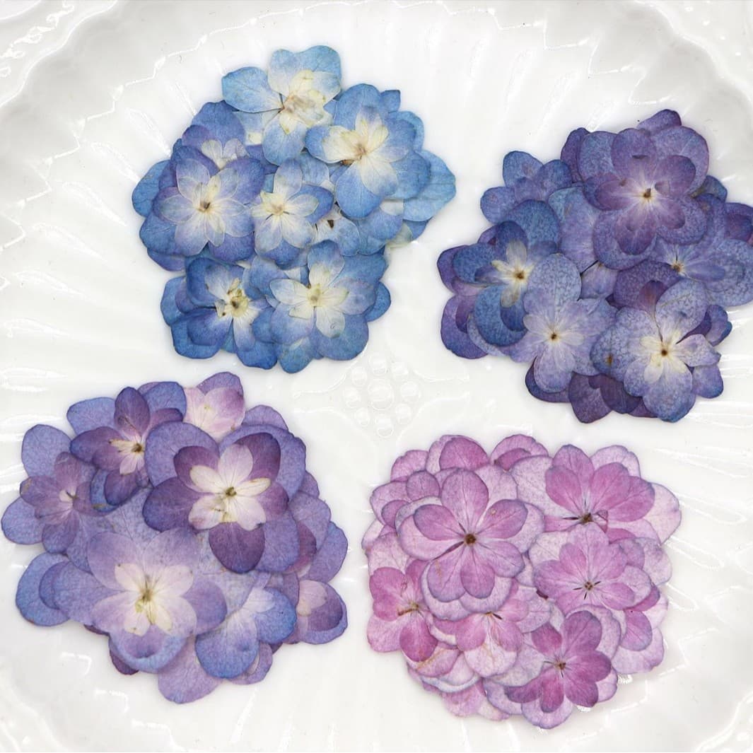 Mini Double-Petal Hydrangea, Dried Flower Pressed Flower DIY Materials for Candles, Bookmarks, Photo Frames, Children's Handmade Crafts, Table Lamps