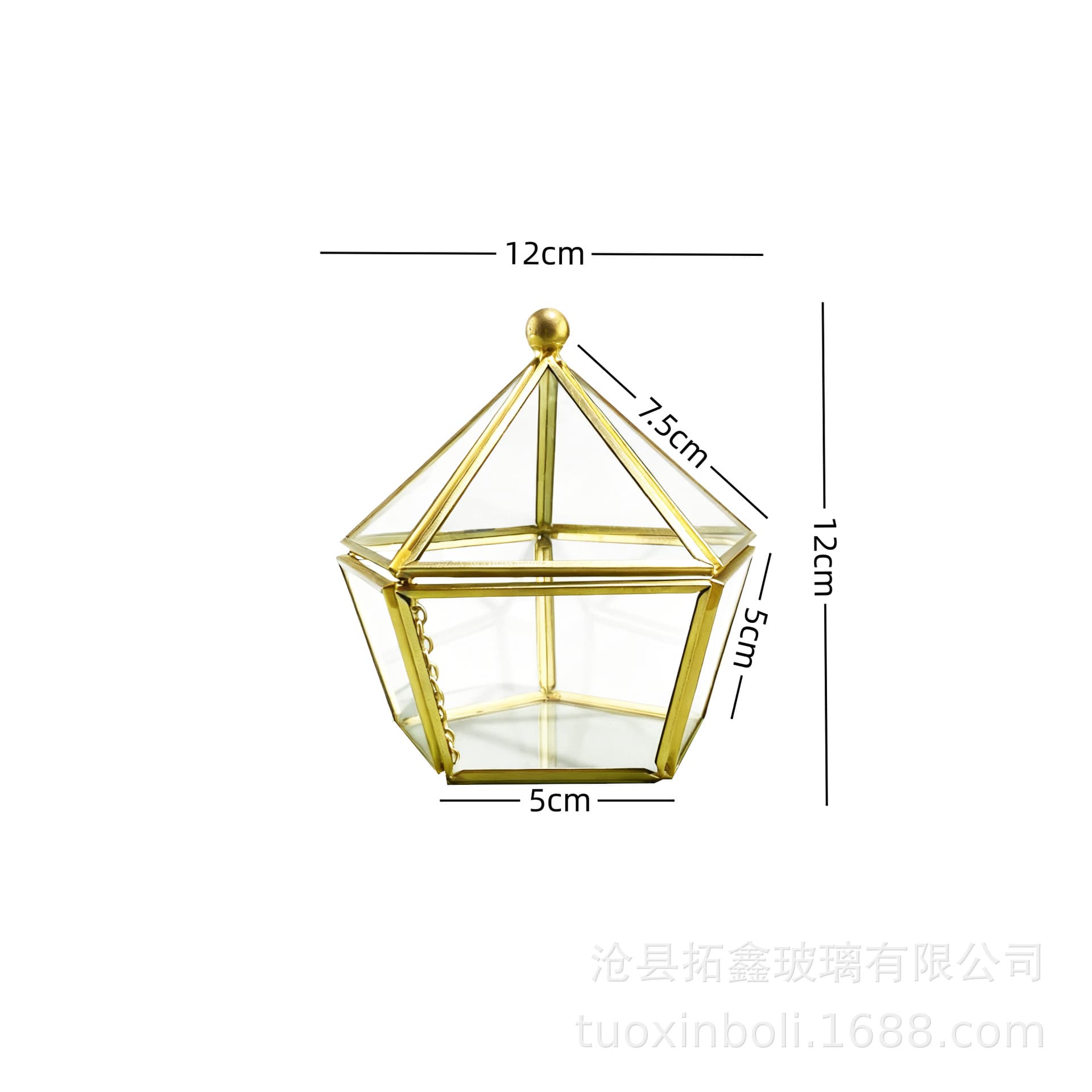 Pentagonal Glass Greenhouse Jewelry Preserved Flower Succulent Plant Micro Landscape Display Case with Lid Home Geometric Ornament