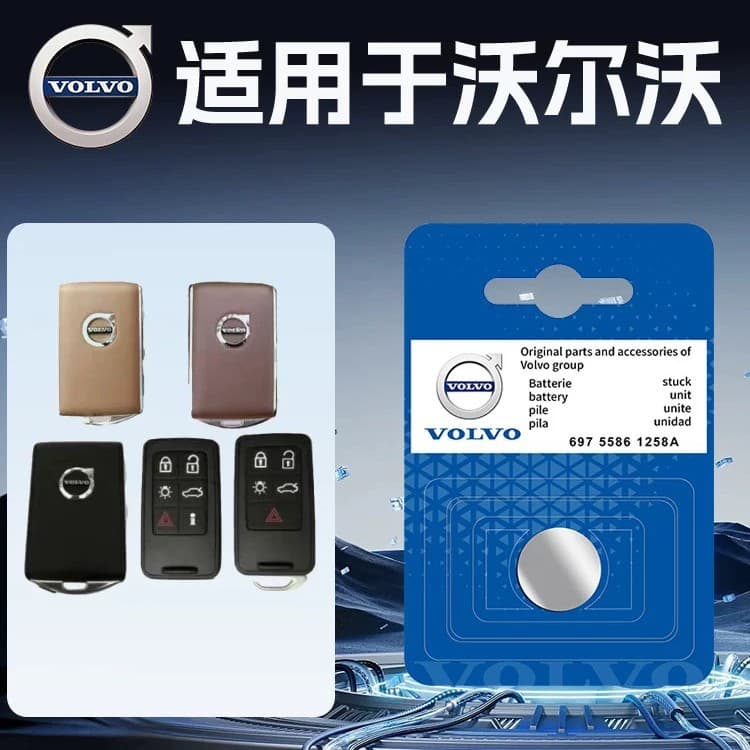 Volvo S90/XC90/XC60/S60/V60/EX30/S40/V40/V60 Car Key Button Battery