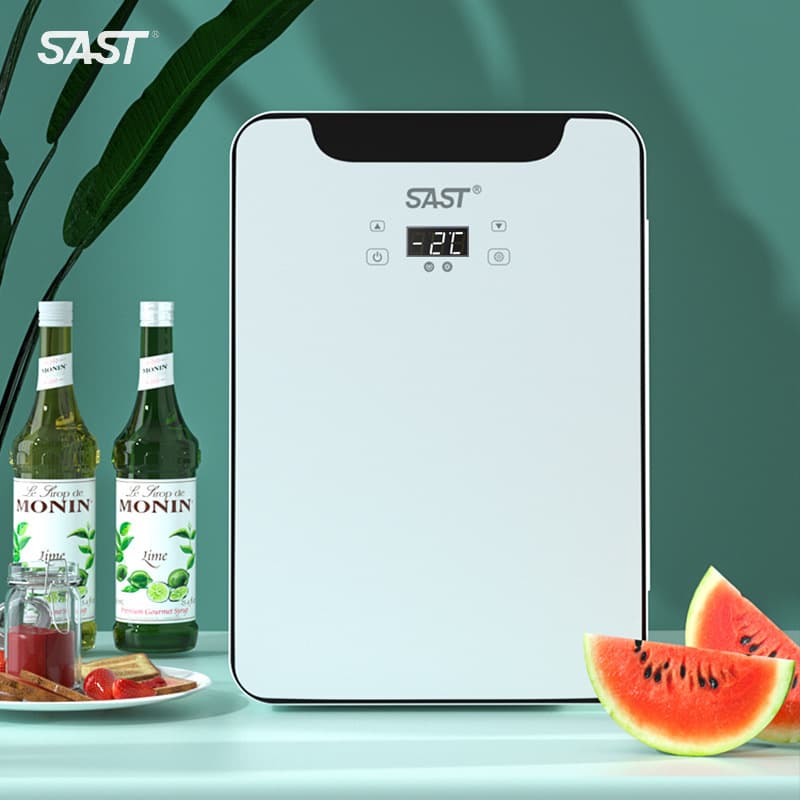 SAST Car Refrigerator Home Small Cooler Box Student Dormitory Mini Fridge Cold Storage Freezer