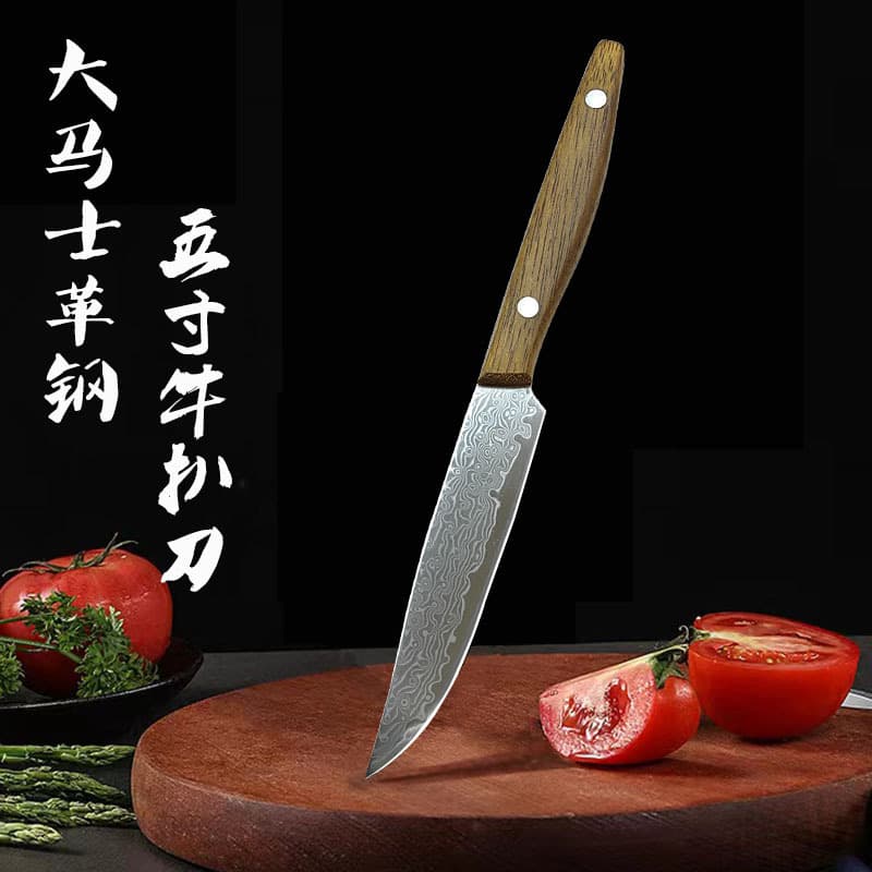 67-Layer Damascus Steel Steak Knife, Sharp Fruit Knife, Handle Meat Knife, Small Boning Knife, Home Segmentation Knife