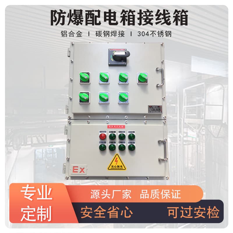 Explosion-Proof Distribution Box, Power and Lighting Junction Box, Stainless Steel Switch Control Touch Cabinet, Maintenance Instrument Power Supply Empty Box