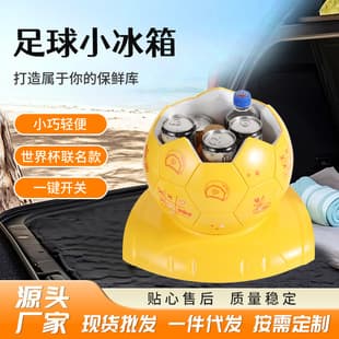 Custom Soccer Ball Mini Fridge Portable Car Refrigerator for Skincare Mask Cosmetics