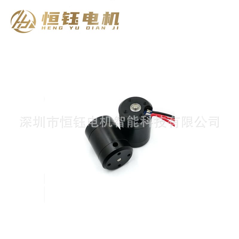 2838 Brushless Motor 28 Waterproof Motor for Pool Cleaning Boat Thruster Potting Waterproof Brushless Motor