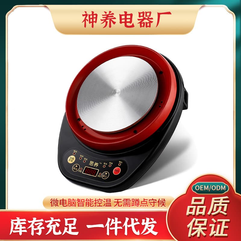 110V Automatic Multifunctional Smart Detachable Ceramic Medicine Pot with Single Base for Decoction and Stewing