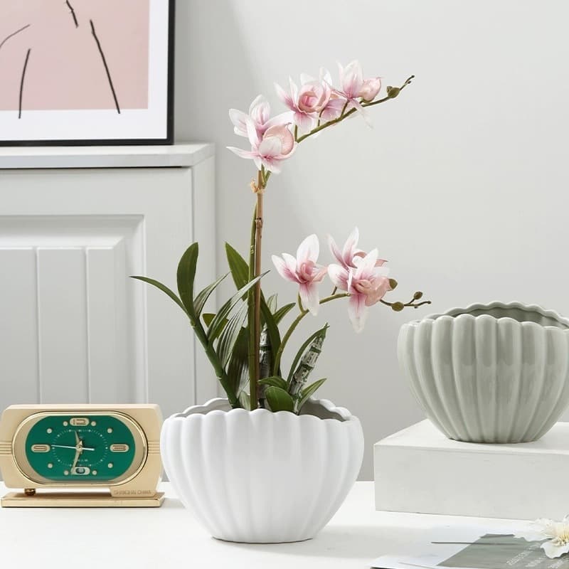 Nordic Creative Phalaenopsis Dried Flower Arrangement Home Decoration Vase Flower Holder Ins Ornament Shell Wholesale