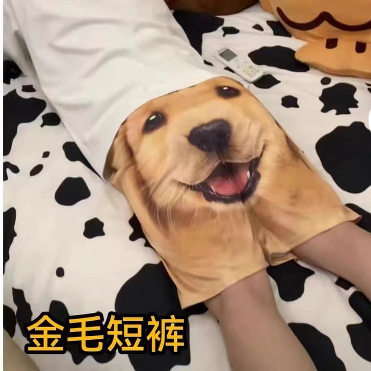 Funny Golden Retriever Dog Head Casual Beach Shorts Summer Design Printed Casual Pants Couple Sports Pants Cross-Border